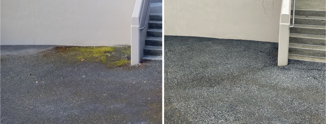 before and after pictures of exterior power washing cleaning service