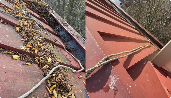 before and after pictures of roof and gutter cleaning service