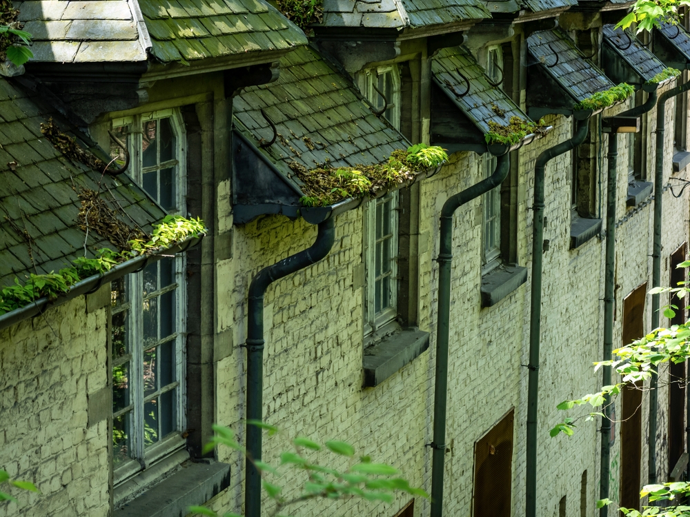 old house with overgrown gutters filled with plants and debris.