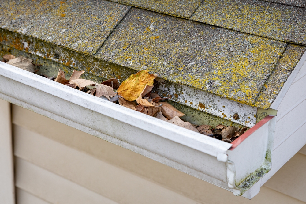 leaves and debris filling a house gutter with moss on the roof