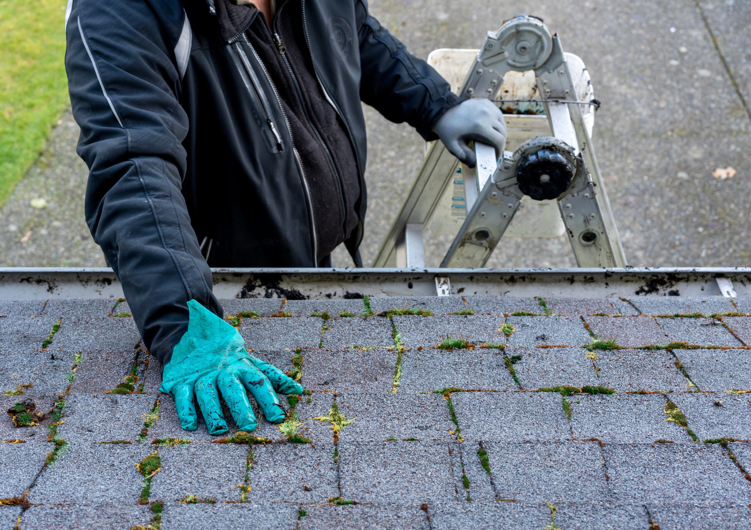 person cleaning moss off a roof while standing on a ladder