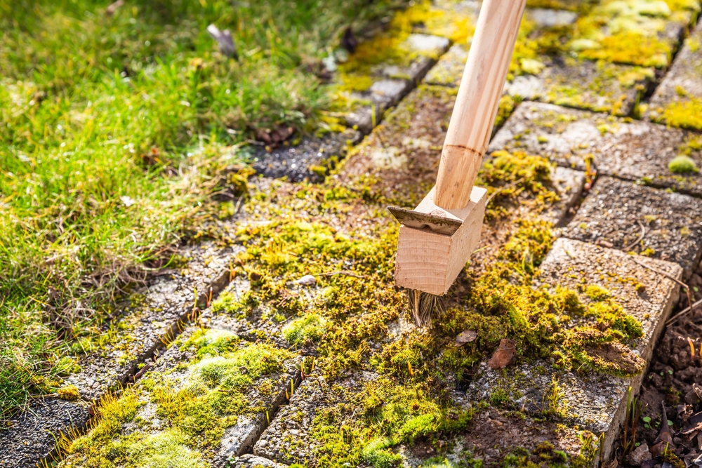 moss being removed from paving stones with a wire brush tool